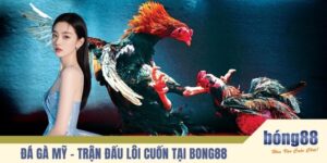 Đá gà Mỹ